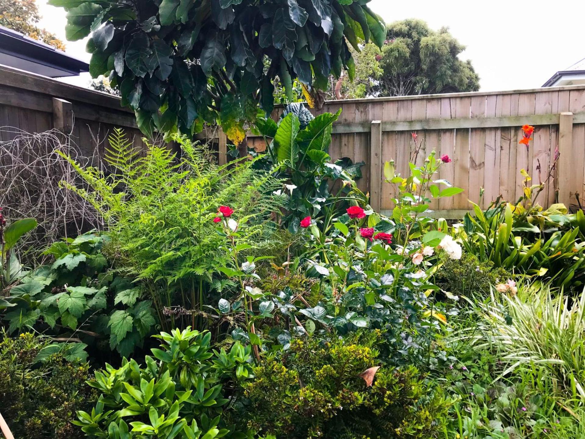 The Brooklands Bungalow New Plymouth Eksteriør bilde